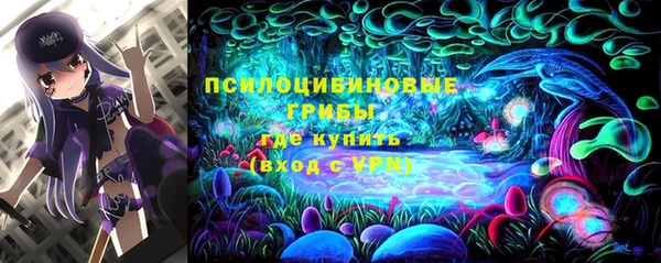 винт Гусь-Хрустальный