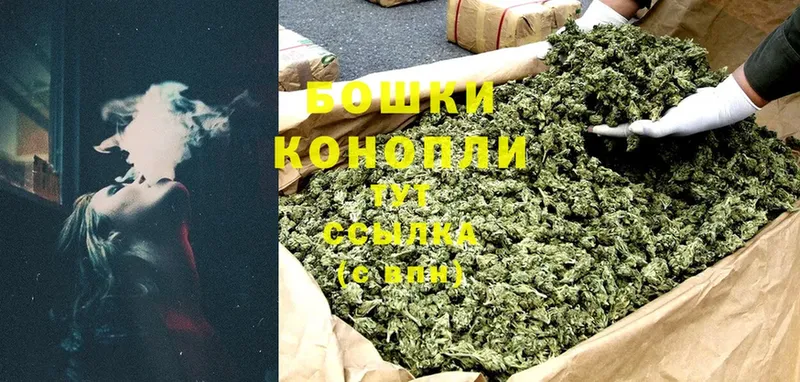 Канабис Ganja  сколько стоит  Павлово 